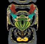 Electric Moon : Live at Immerhin